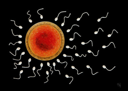 Femme, galerie venturini, JJV, ovule, spermatozoïdes
