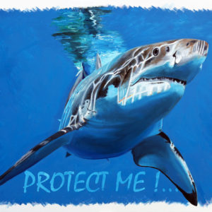 Requins, superprédateur, requin blanc, déclin des populations de requins, Espèces vulnérables, WWF, IFAW.